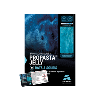 PROPASTA JELLY - Barquette 100g en carton de 5 kg