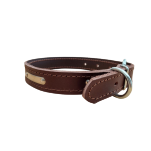 Collier chien cuir - avec plaque - grand modèle