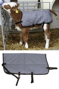 Couverture veau 70 cm