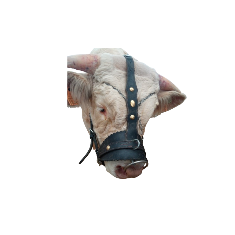 Licol De Transport Kentucky Pour Cheval - Gris, En Laine Synthétique Vegan, Confortable Et Léger