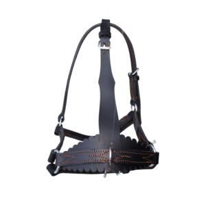 Licol pour veau 6 mois - cuir doublé - 3 réglages