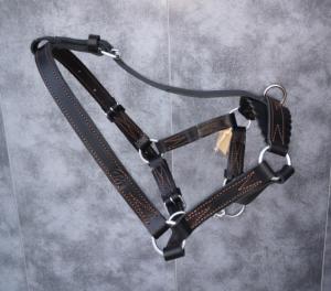 Licol veau 6 mois - cuir doublé - 3 réglages  