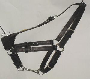 Licol veau mâle 18 mois - cuir doublé - 5 réglages 